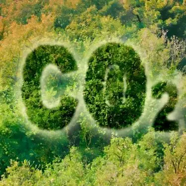 Hvor grøn er din have?